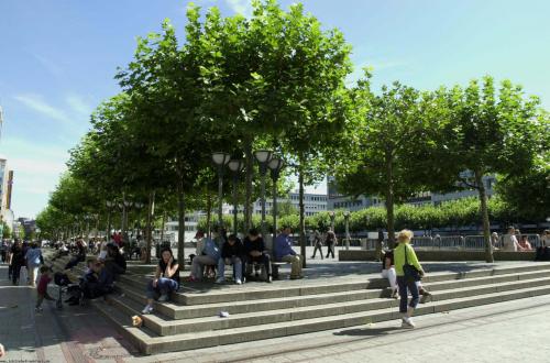 Zeil. Frankfurt