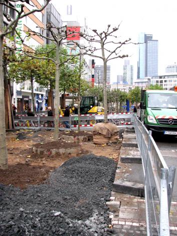 B�ume der Zeil. 19.11.08-10