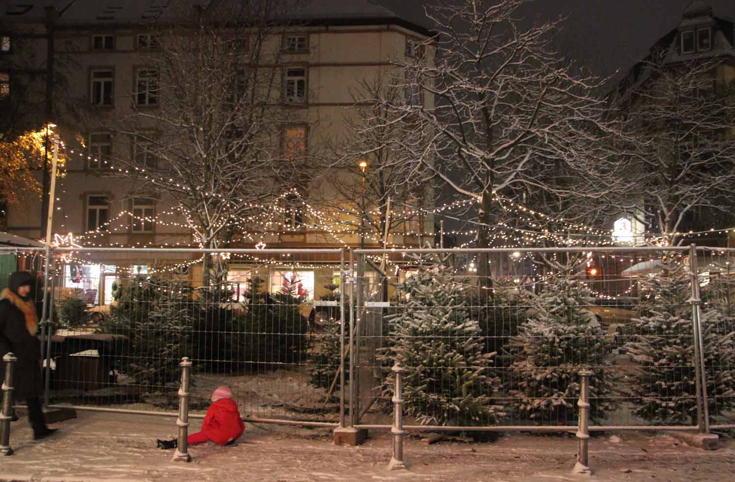 Noch keinen Weihnachtsbaum? Dann auf zum F�nfingerplatz. Denn der Anbieter ist, mit seiner h�bschen Dekoration und vielen Lichtern ein Gewinn f�r Bornheim! (Und, au�erdem hat er noch eine Sammelaktion f�r den Fahrstuhl f�r den Kindergarten am Kirchplatz gestartet!)< >