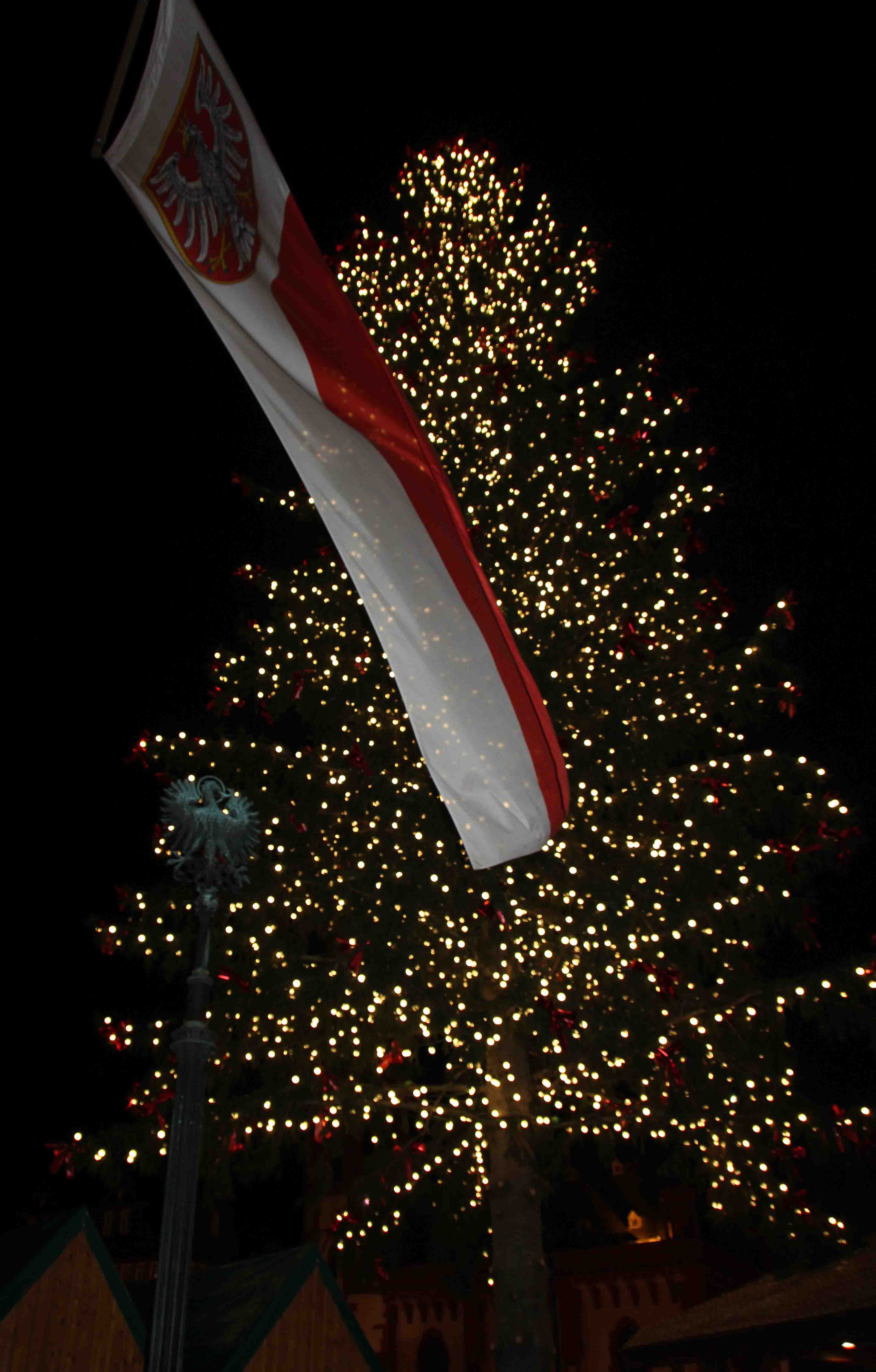 Frankfurts Weihnachtsbaum - er heit August Bertl und kommt aus der schnen Marktgemeinde Grsming in sterreich. Fotos von der Erffnung des Weihnachtsmarktes: WEihnachtsmarkt 