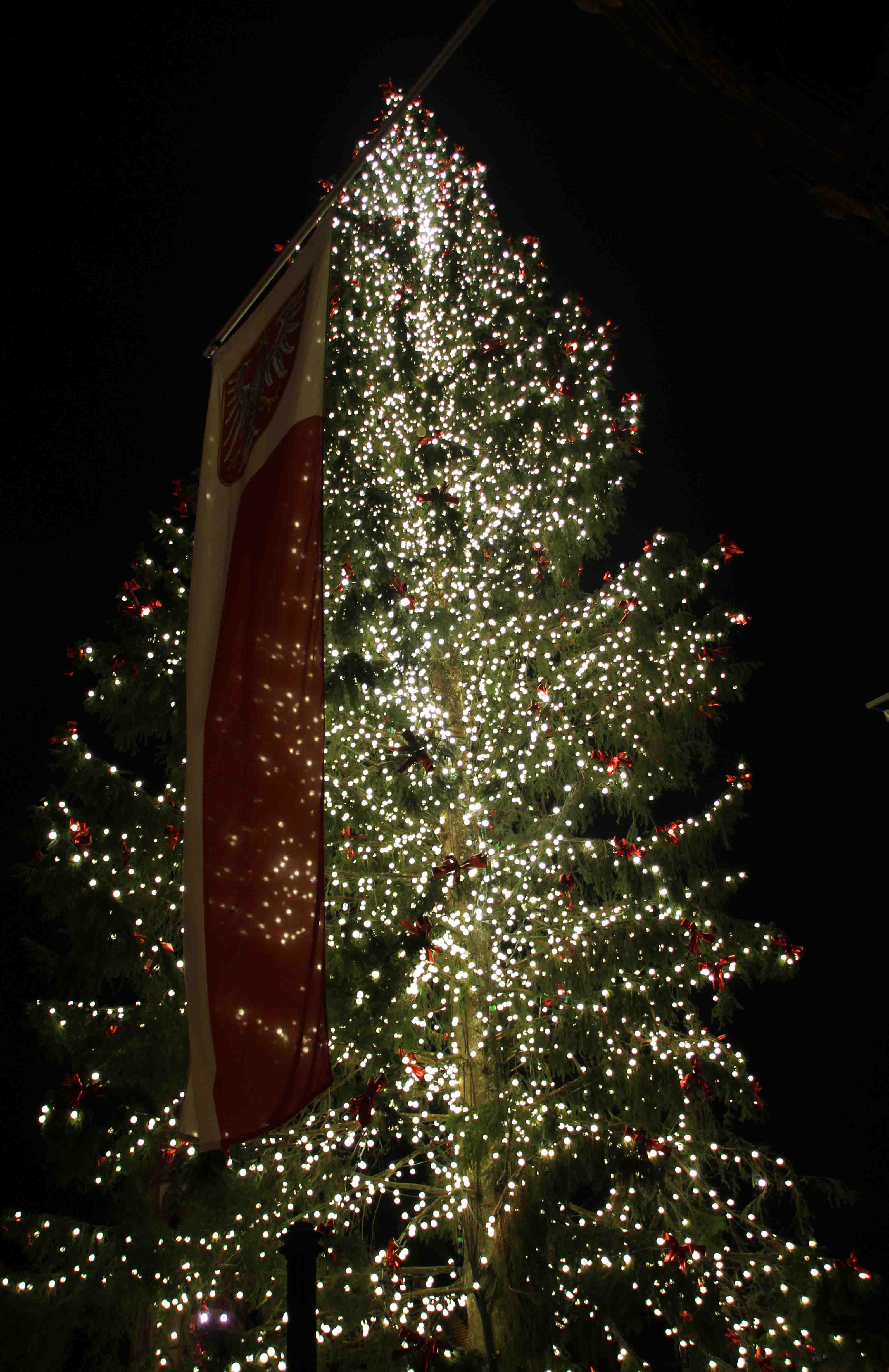 2015. Das ist der Neue. Er ist eine sie - eine 32 Meter hohe Fichte aus dem Schwarzwald und ein Geschenk der Stadt Basel an Frankfurt. Danke an Basel und die bezaubernde Francine Jordi die uns mit ihrem Gesang und ihrem Charme in Weihnachtsstimmung versetzt hat. Der Weihnachtsmarkt ist erffnet. Fotos siehe: Weihnachtsmarkt