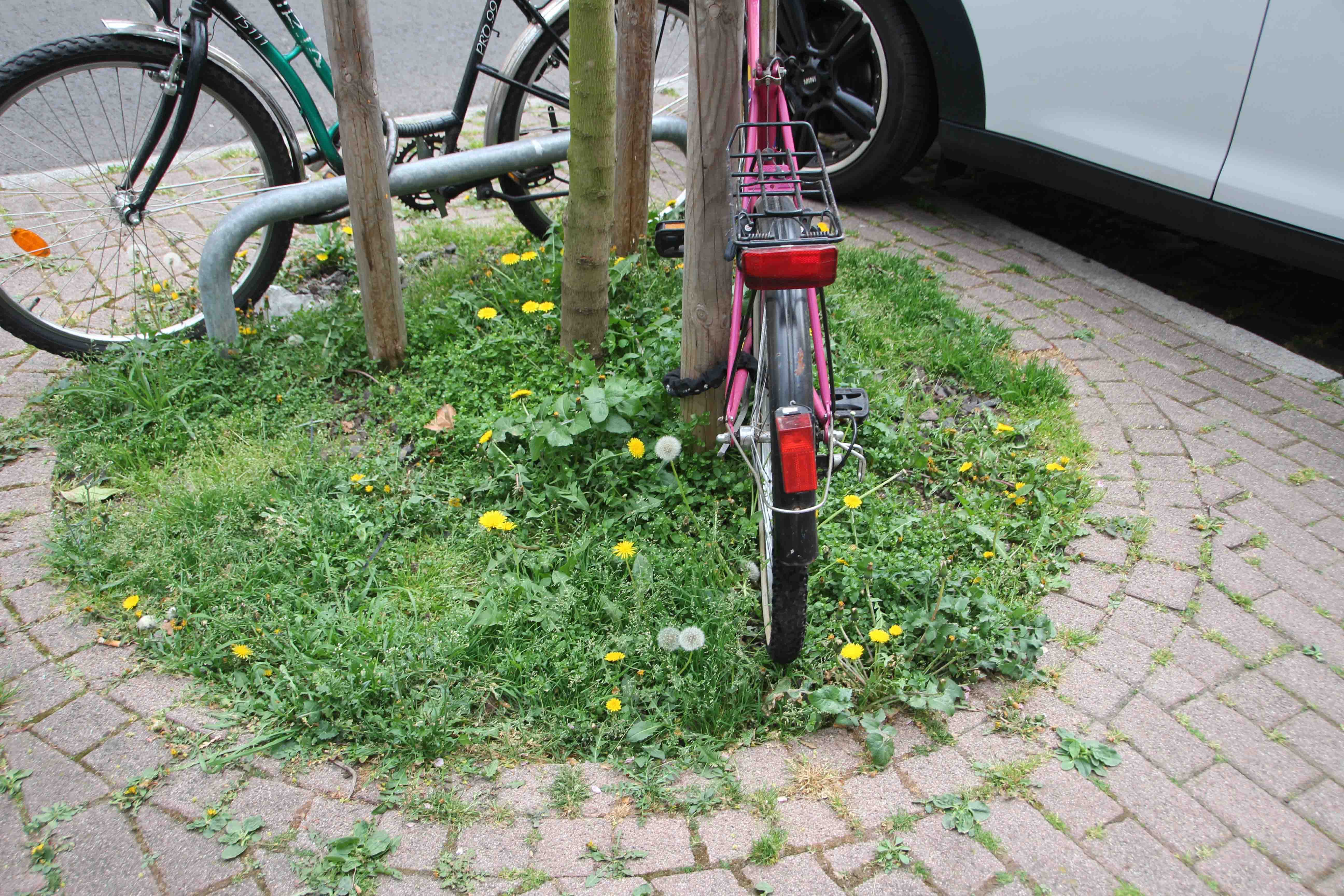 < >Das htte ich mir fr die Zeil gewnscht. Miniwiesen mit Lwenzahn und Gnseblmchen und Baumschutzstangen die fr Fahrrder geeignet sind. ... < >