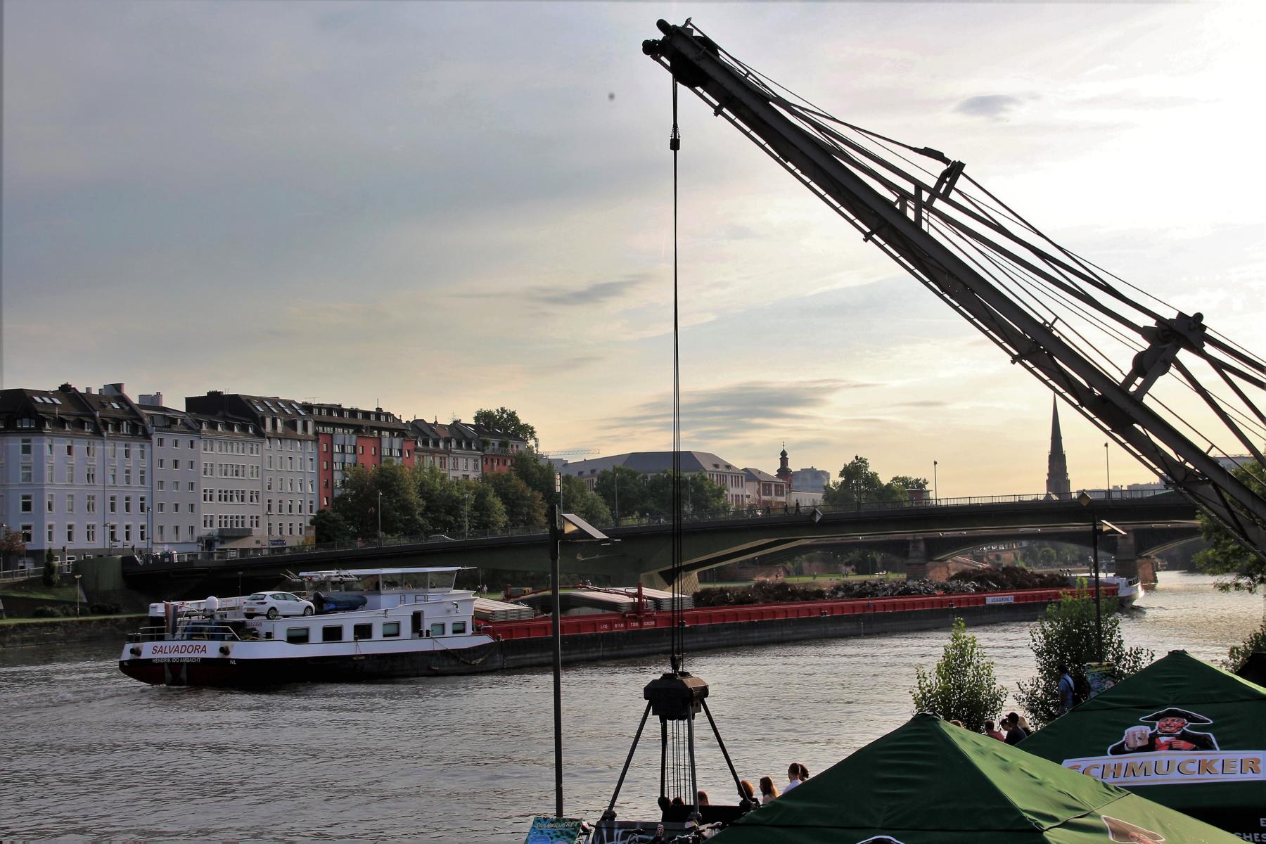 Sommer in Frankfurt am Main. < >