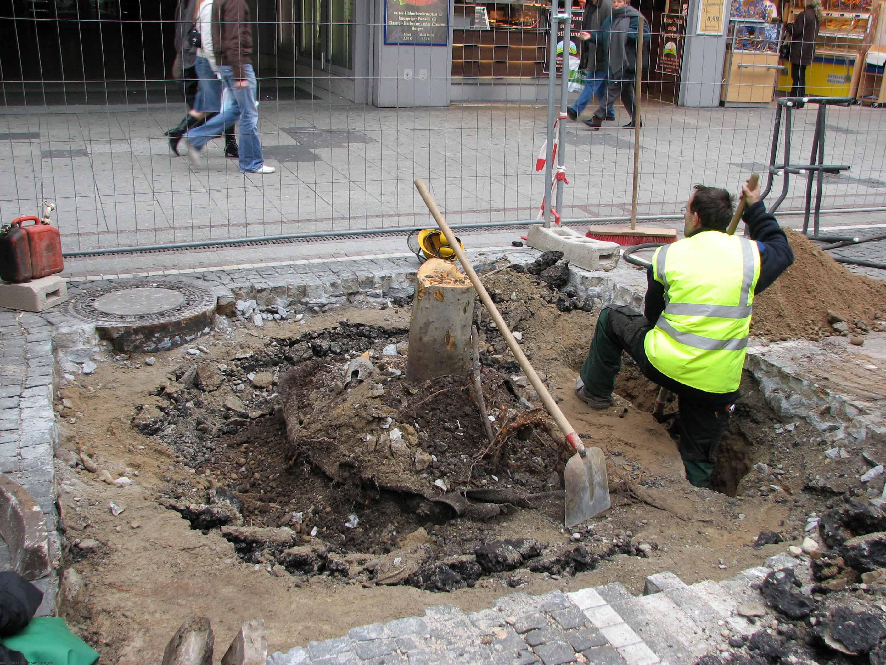 Gesunde Bume wehren sich!< >Nach 4 Stunden Arbeit war das intakte Pflaster zerstrt - < >die Wurzel immer noch in ihrem Baumbett.< >Am nchsten Tag kamen die Maschinen ...< >Siehe Bildreporter< >